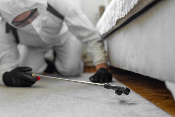 Professional Termite Control technician working in Escatawpa, MS