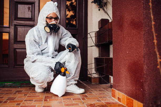 Reliable Termite Control contractor in Escatawpa, MS by Nex Pest Control