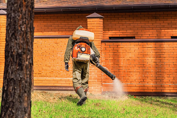 Trusted Termite Control service in Escatawpa, MS - Nex Pest Control